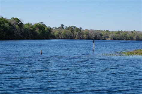 Manatee Springs State Park Camping