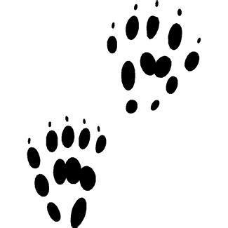 Deer Footprints Cliparts | Free download on ClipArtMag