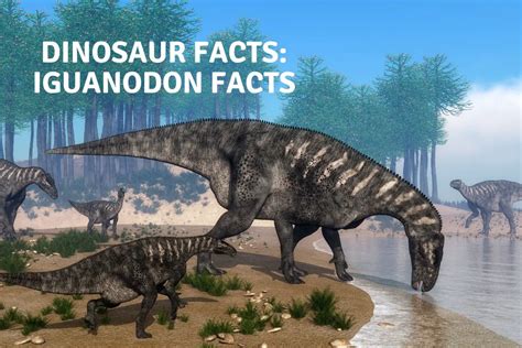 Dinosaur Facts: Iguanodon Facts - Dinosaur Facts For Kids