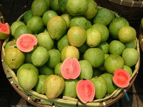 Guava - Wikipedia