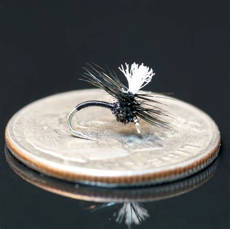 Sprout Midge - Dry Fly - Fly Fish Food -- Fly Tying and Fly Fishing