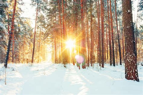 Winter Solstice: The Science of the Shortest Day of 2017 | Space