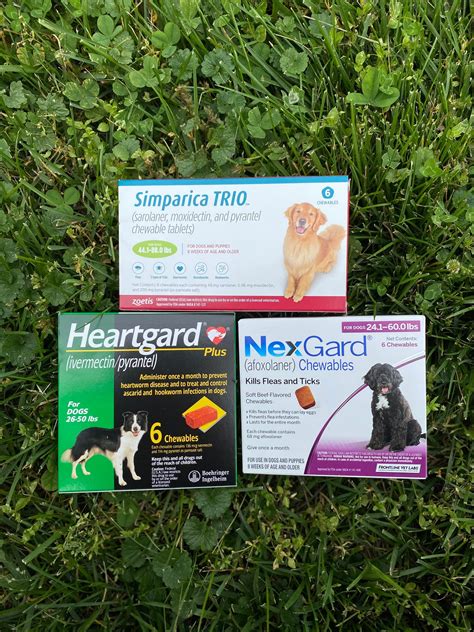 Flea, Tick and Heartworm Prevention - Catoctin Veterinary Clinic