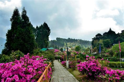 Kalimpong - Tourist Places & Top Things to Do in 2024