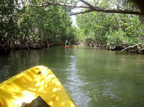 KAYAKING North Miami - Kayaking in Oleta River State Park | Florida ...