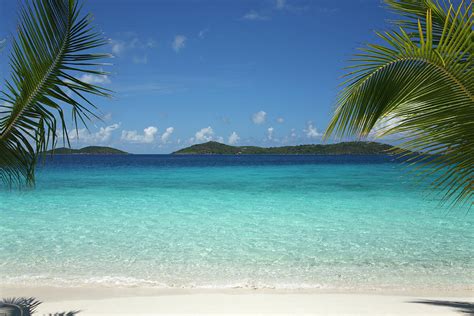 Beautiful Tropical Scene At A Beach In Photograph by Cdwheatley - Fine Art America