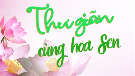 Thư giãn cùng hoa sen - YouTube