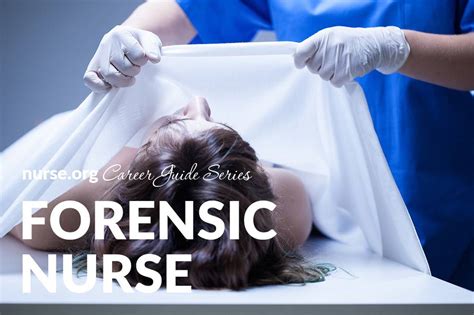 6 Steps to Becoming a Forensic Nurse | Salary & Programs