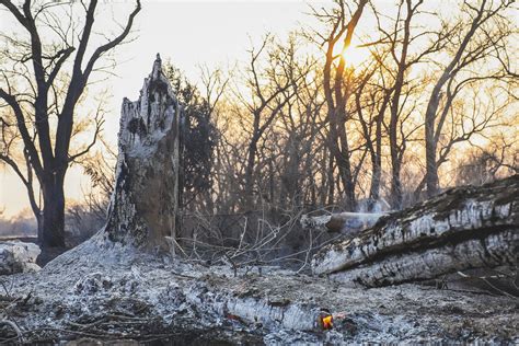 A Wildfire Has Grown To The Largest In Texas State History, Crosses Into Oklahoma