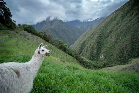 Hiking the Inca Trail in Peru: 15 Things You Need to Know