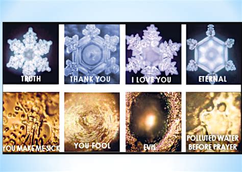 "Unlocking the Enchanting Secrets of Emoto's Water Experiment" - mauriMa