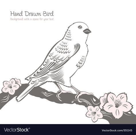 Bird on a branch drawing Royalty Free Vector Image