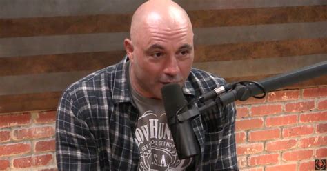 Joe Rogan Jamie Vernon - Joe Rogan Episodes on Hold After Staffer Tests Positive ... - Rogan ...