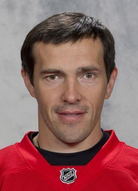 Pavel Datsyuk (Character) - Giant Bomb