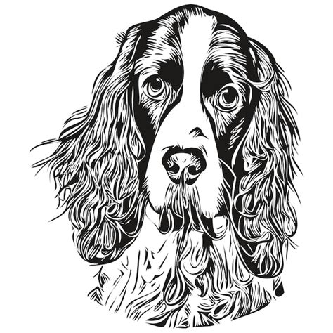 Premium Vector | Spaniel english springer dog hand drawn vector logo drawing black and white ...