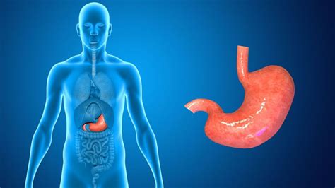 Stomach Flu (Gastroenteritis): Causes, Symptoms & Treatment