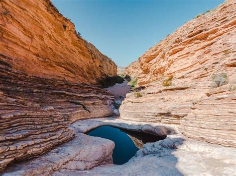 Discover the Beauty of Big Bend National Park