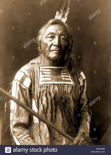 Download this stock image: Edward S. Curtis Native American Indians - Sitting Elk--Apsaroke ca ...