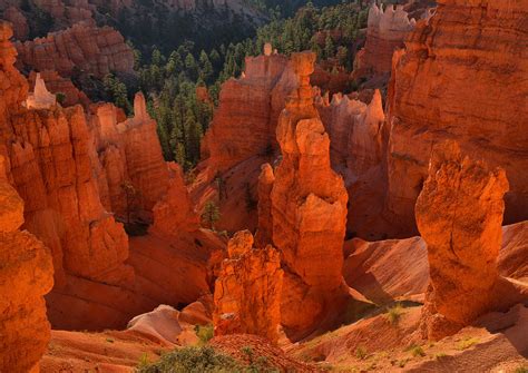 Bryce Canyon Hoodoos Photograph by Stephen Vecchiotti - Fine Art America