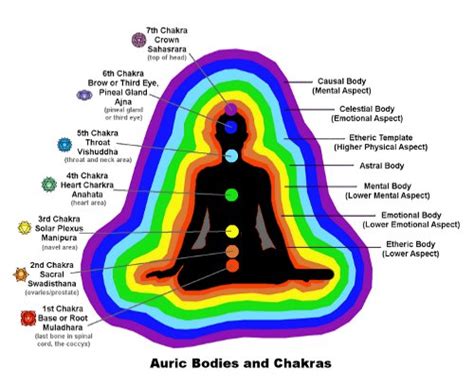 How to Read Auras – What is the Meaning of Each Color? : In5D Esoteric, Metaphysical, and ...