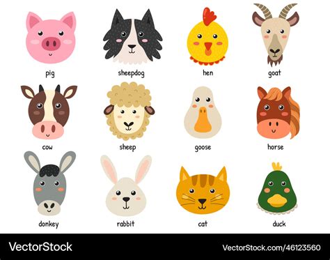 Farm Animal Face Clipart