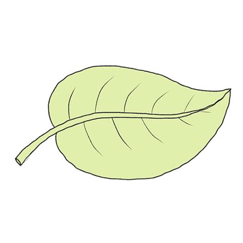 How to Draw an Easy Leaf - Easy Drawing Tutorial For Kids