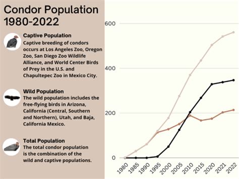 California Condor Population Graph, 1980-2022 | FWS.gov