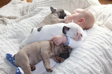 Kids baby pictures: cute baby sleeping with puppies