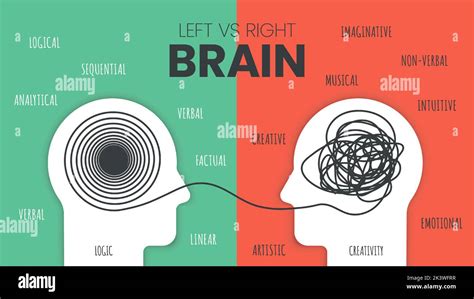 Left Brain vs. Right Brain Dominance infographic template. How the ...