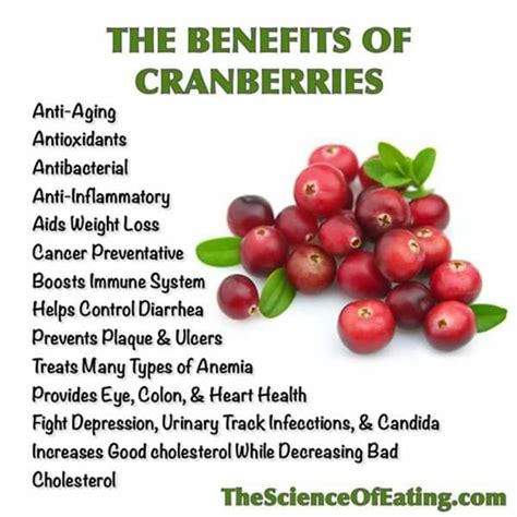 Pin by Assi Dameer on life glowing tips | Healthy benefits, Cranberry benefits, Nutrition