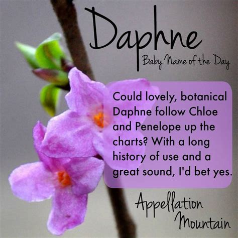 Baby Name Daphne: High-Energy Charmer - Appellation Mountain | Baby ...