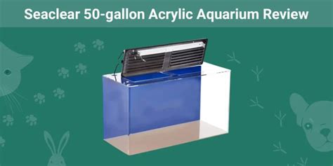 Seaclear 50-gallon Acrylic Aquarium Review 2024 Update | Pet Keen