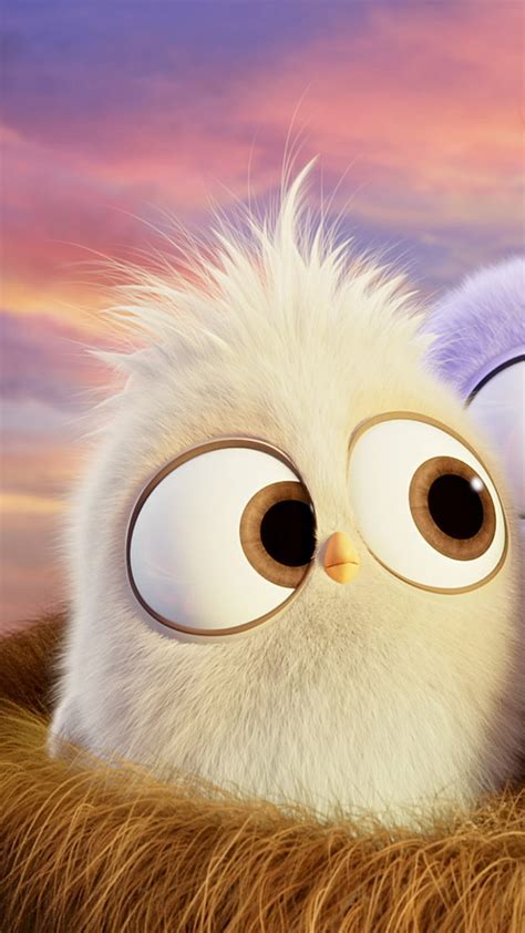 Cute angry bird, animals, cartoon, drawing, eyes, pets, HD phone wallpaper | Peakpx