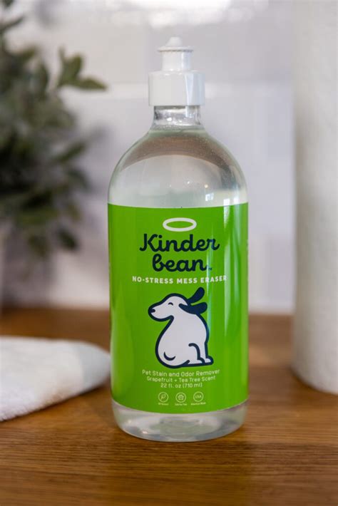 The Best Cat Urine Enzyme Cleaner | Pet Living