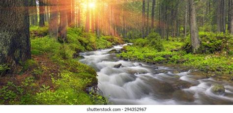 Flowing River Stock Photos - 1,187,444 Images | Shutterstock