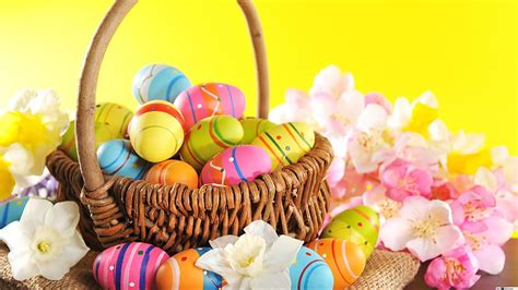 Easter Basket on Dog, easter pc HD wallpaper | Pxfuel