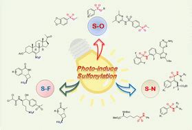 Visible-light-driven reactions for the synthesis of sulfur dioxide-inserted compounds ...