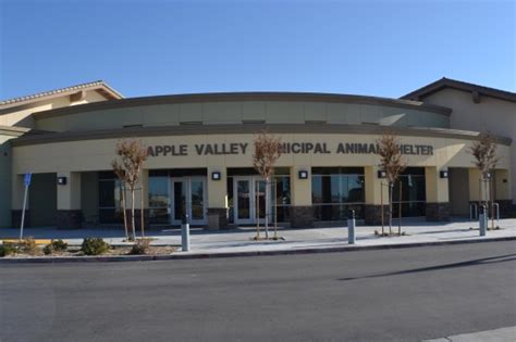 Shelter Services | Town of Apple Valley