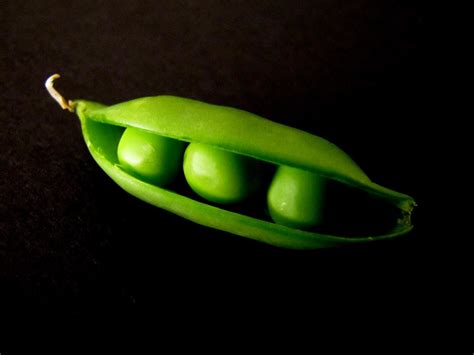 The Other Side of the Blessing: Three Peas in a Pod