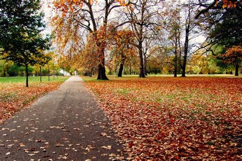 Autumn Colours: London in November