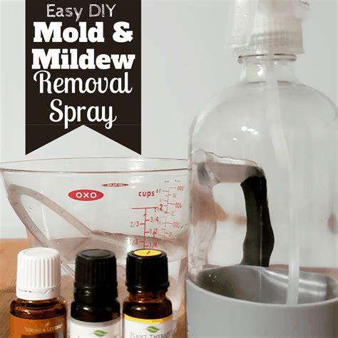 Homemade Mildew Removal Spray {Mold too!} - Midwest Modern Momma