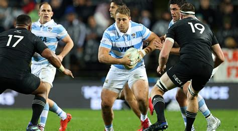 World Cup 2023 Group D Betting Preview - Rugby Picks, Predictions and Odds