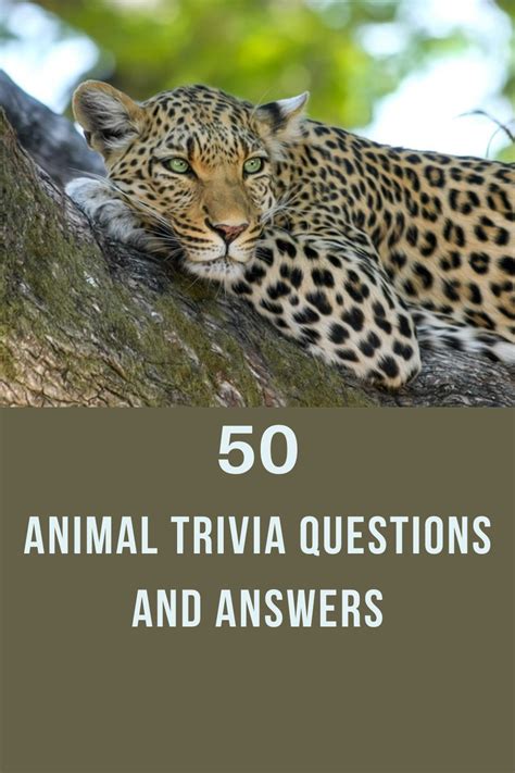 50 Animal Trivia Questions and Answers - Trivia Inc