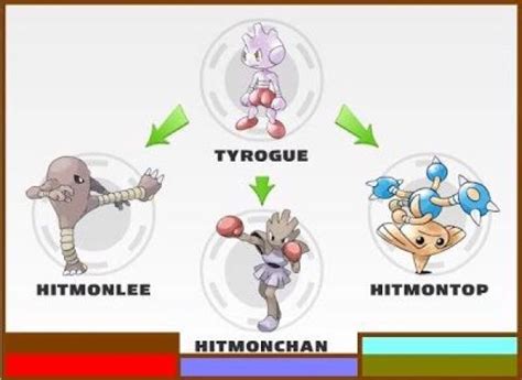 [Guide] How to Get the Tyrogue Evolution You Desire! - Miketendo64