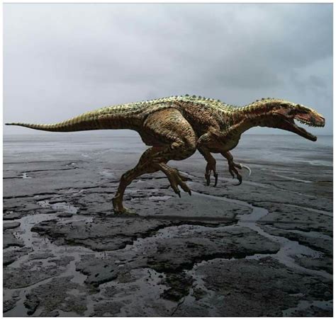 *Australovenator | Prehistoric animals, Dinosaur, Prehistoric creatures