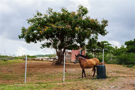 Culebra, a Quiet Corner of the Caribbean - The New York Times