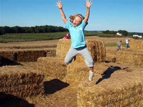 Straw Bale Maze – Maize Quest Corn Maze & Fun Park