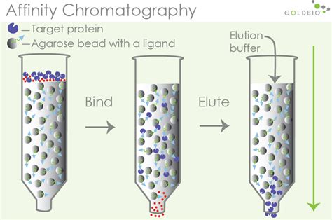 A Continuous Procedure Based On Column Chromatography - vrogue.co