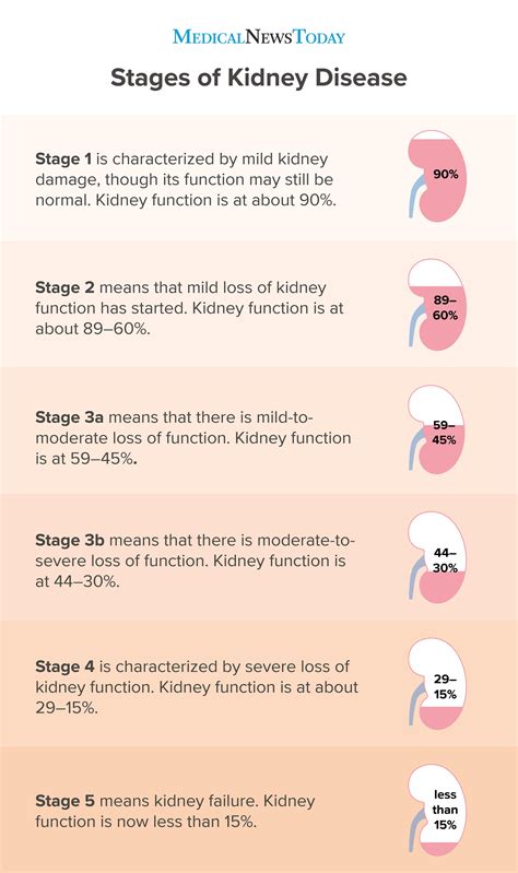 Stages Of Kidney Disease Chart