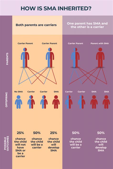 Spinal Muscular Atrophy (SMA) Causes and Genetics | SMA News Today